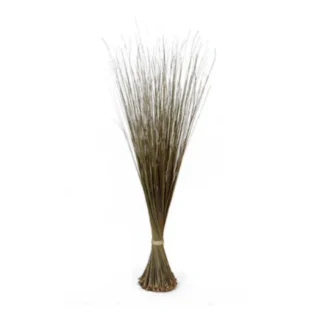 Broom big