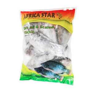 african star tilapia fish