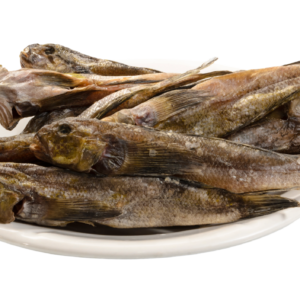 stock fish
